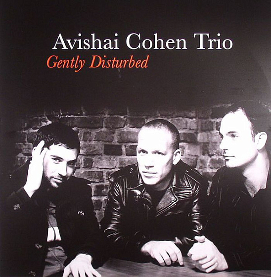 Пластинка Avishai Cohen Trio - Gently Disturbed LP - рис.0