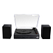Проигрыватель винила Ritmix LP-220B Black Wood - рис.2