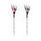 Wireworld Solstice 8 Biwire Banana - Banana 2.5m
