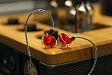 - рис.6 IEM наушники Aurian Sunset Universal - рис.6