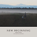 CD-диск Denis Stelmakh - New Beginning CD - рис.0