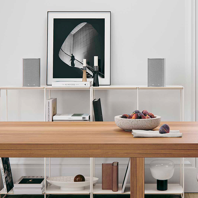 Полочная акустика Piega Ace 30 White - рис.4