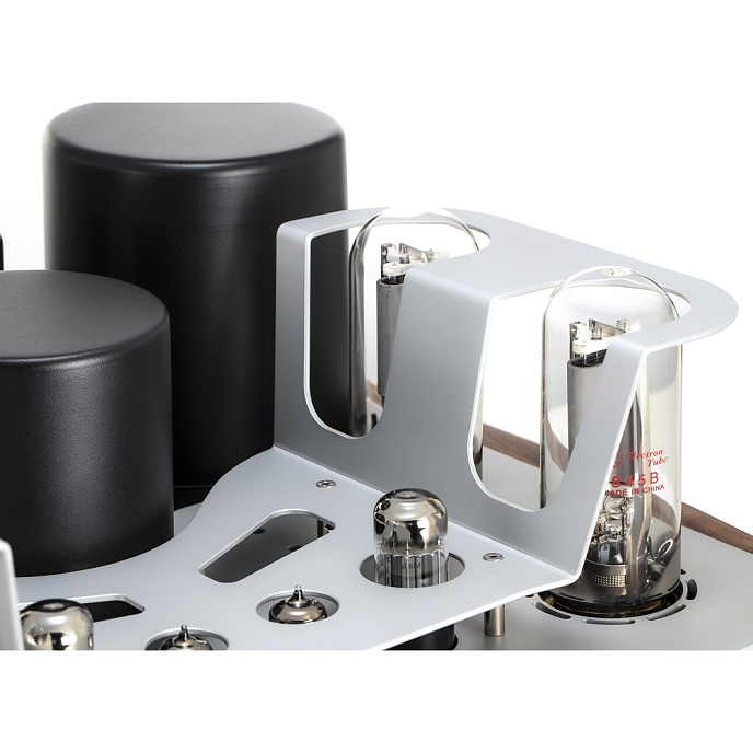 Интегральный усилитель Mastersound Evolution 845 Black Wood - рис.9