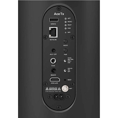 Напольная акустика Piega Ace 50 Wireless TX Black
