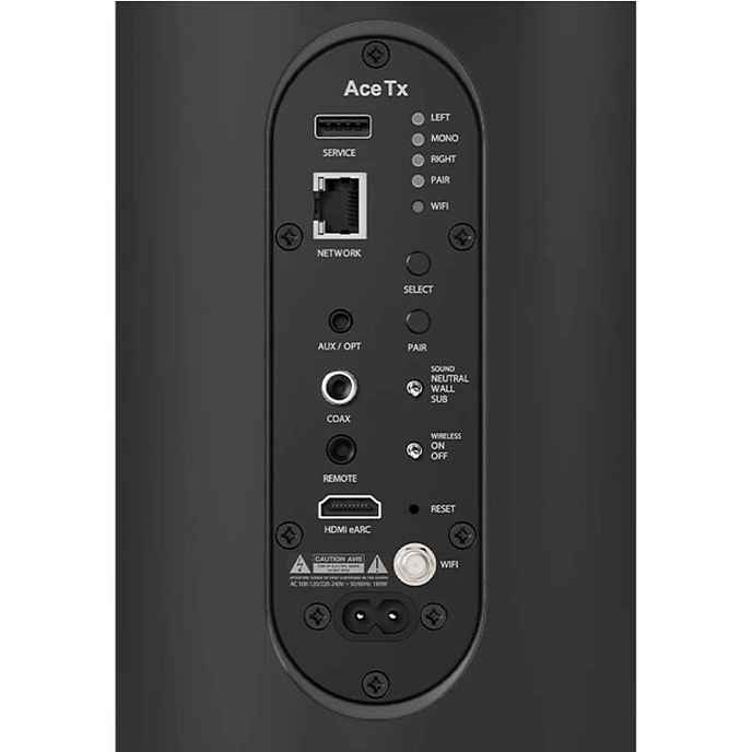 Напольная акустика Piega Ace 50 Wireless TX Black - рис.1