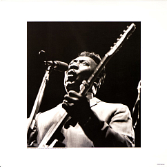 Виниловая пластинка Muddy Waters - Muddy, Brass & The Blues (Acoustic sounds) LP