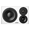 Dynaudio LYD 48 Right Black/White
