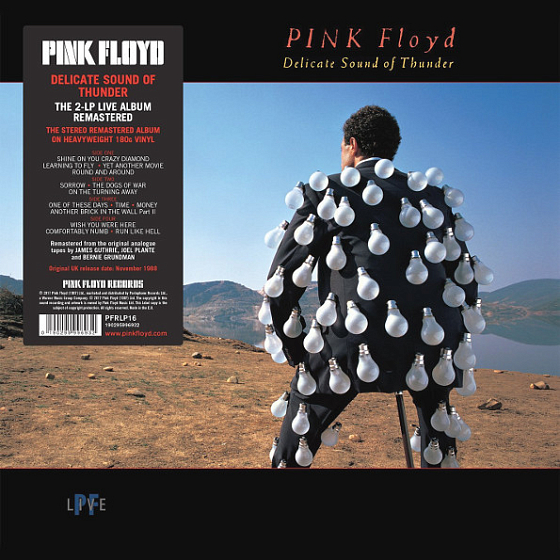 Пластинка Pink Floyd - Delicate Sound Of Thunder LP - рис.0