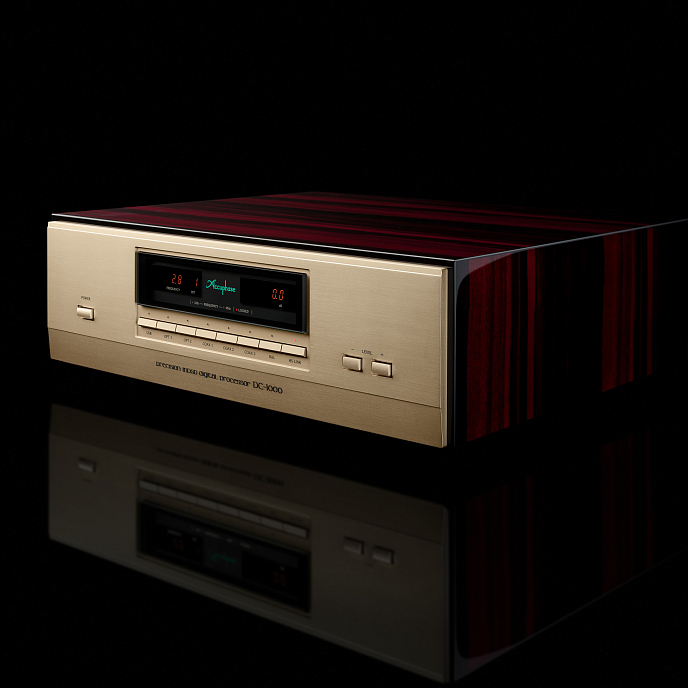 ЦАП Accuphase DC-1000 Gold - рис.4