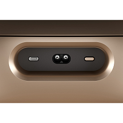 Беспроводная акустика Bowers & Wilkins Zeppelin Pro Edition Solar Gold