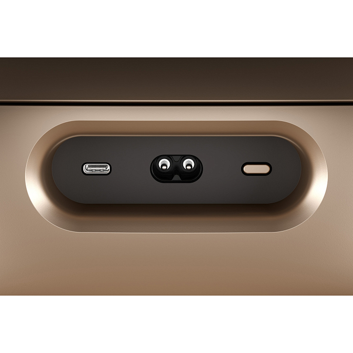 Беспроводная акустика Bowers & Wilkins Zeppelin Pro Edition Solar Gold - рис.4