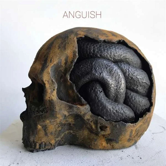 Виниловая пластинка Anguish - Anguish LP - рис.0