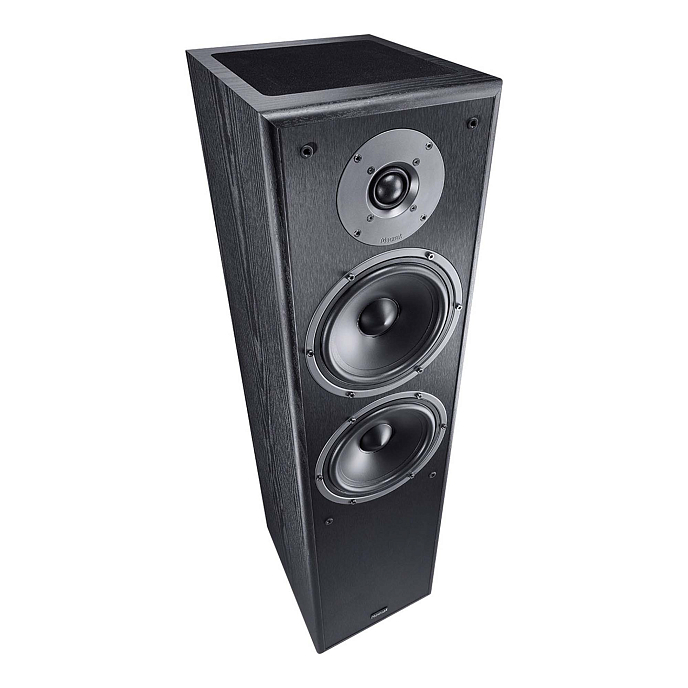 Напольная акустика Magnat Monitor S80 ATM Black - рис.4