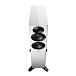 Напольная акустика Dynaudio Focus 30 Highgloss White - рис.4