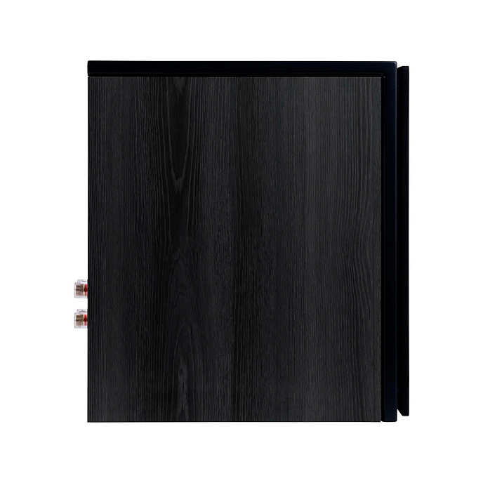 Полочная акустика HECO Aurora XT 300 Black/Oak - рис.5