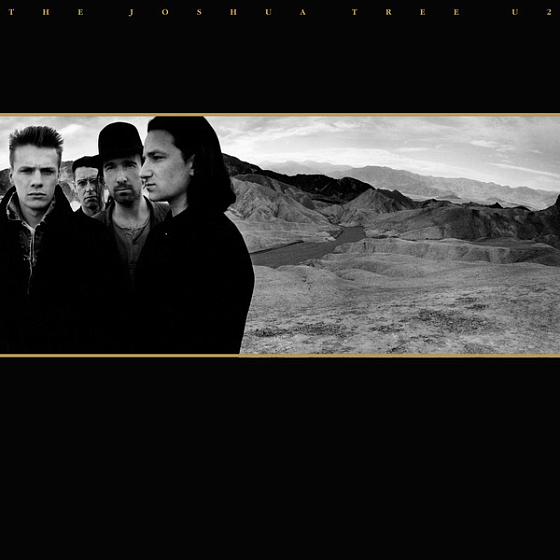 Пластинка U2 - The Joshua Tree - рис.0