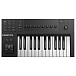 DJ-контроллер Native Instruments Komplete Kontrol A25 - рис.0 DJ-контроллер Native Instruments Komplete Kontrol A25 - рис.0