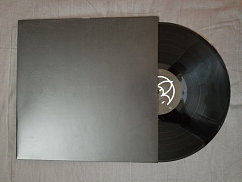 Виниловая пластинка Bring Me The Horizon - That's The Spirit