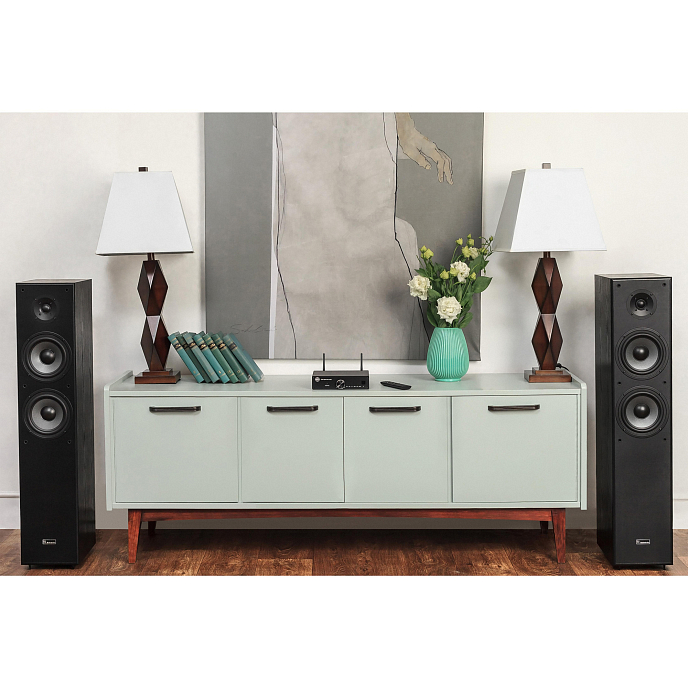 Интегральный усилитель Radiotehnika RTM01 Black - рис.8