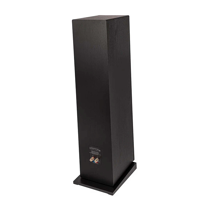Напольная акустика Davis Acoustics Krypton N 10 Technik Black - рис.5