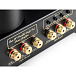 Интегральный усилитель Mastersound Evolution 845 Black Wood - рис.7