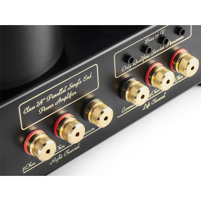 Интегральный усилитель Mastersound Evolution 845 Black Wood - рис.7