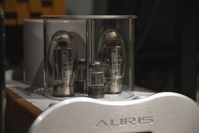 Усилитель мощности Auris Forte 150 - рис.8