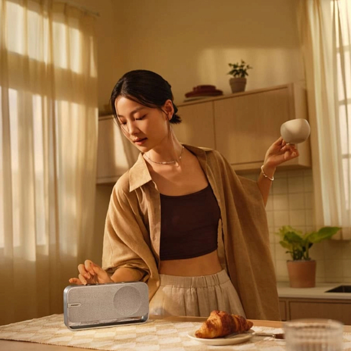 Портативная колонка Bose SoundLink Home Cool Gray - рис.6