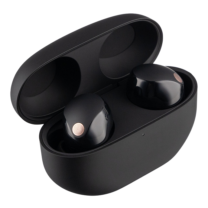 Беспроводные наушники Sony WF-1000XM5 Black - рис.2