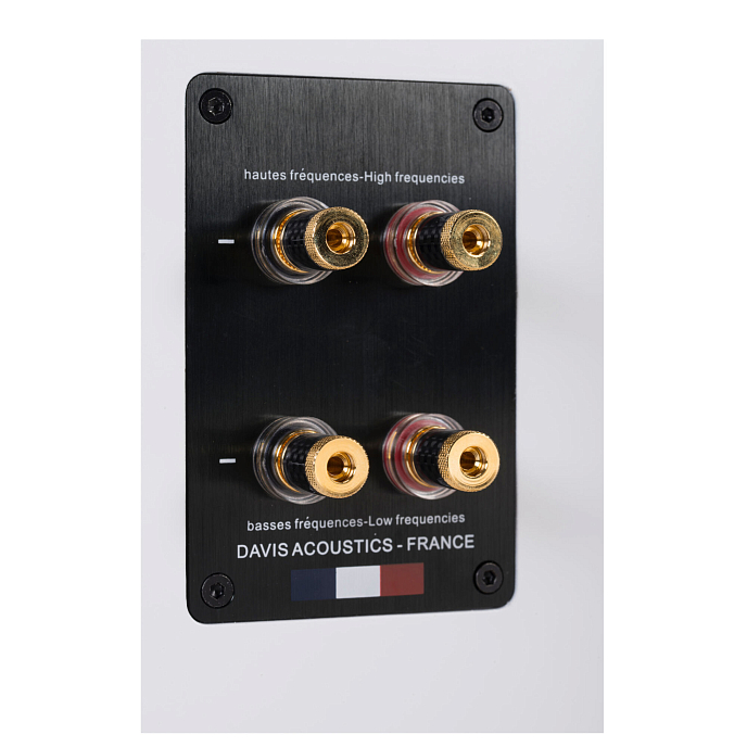 Напольная акустика Davis Acoustics Courbet N 5 White Matte - рис.10