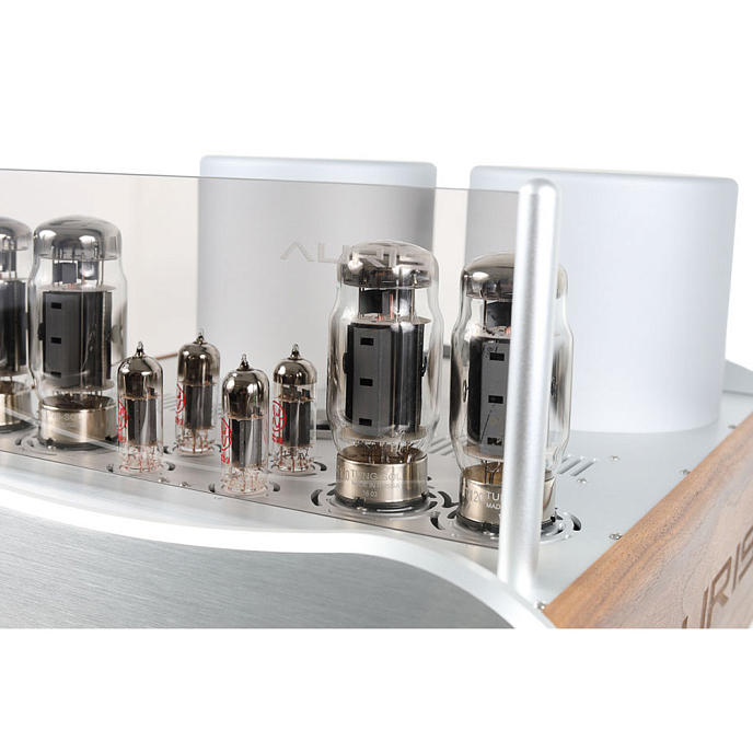 Интегральный усилитель Auris Fortissimo - рис.6