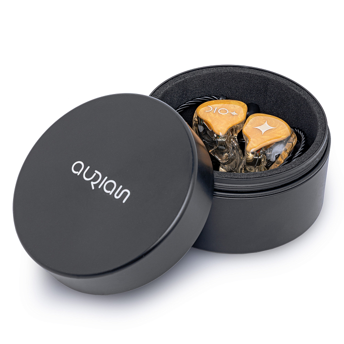 Кастомные наушники Aurian Canyon Custom - рис.3