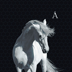 Виниловая пластинка Аквариум – Лошадь Белая LP