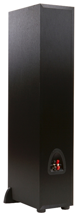 Напольная акустика Klipsch R-26F - рис.2