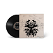 Виниловая пластинка Natacha Atlas – The Best Of Natacha Atlas - 2LP - рис.2