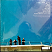 Виниловая пластинка Coldplay – Parachutes (Clear) LP - рис.2