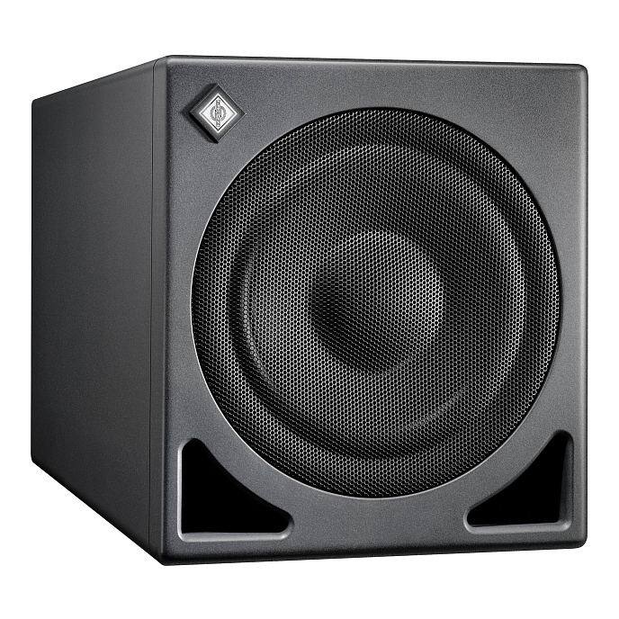 Сабвуфер Neumann KH 810 II Black - рис.1