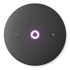 Умная колонка Яндекс Станция Мини 3 Про с Zigbee Grey