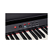 Синтезатор Alesis PRESTIGE - рис.6