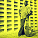 Виниловая пластинка Ali Farka Toure - Green - LP - рис.0