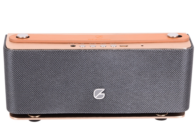 Портативная колонка GZ Electronics LoftSound GZ-44 Gold - рис.1