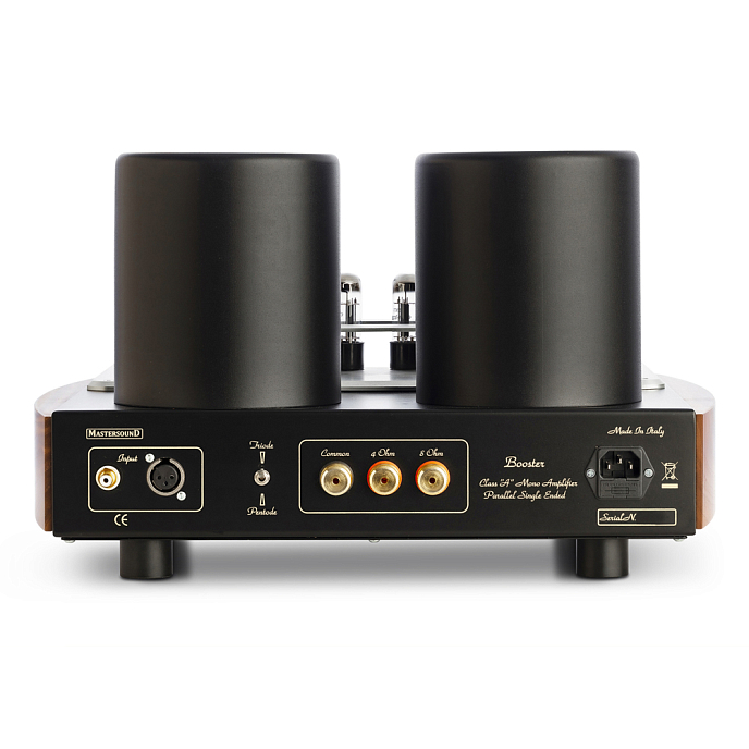 Усилитель мощности Mastersound Booster Monoblock Black Wood - рис.2