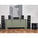 Центральный канал Radiotehnika Alfa 1.03 Black Ash - рис.11