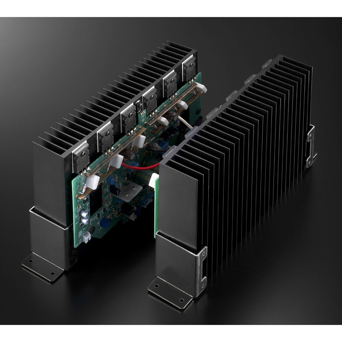 Интегральный усилитель Esoteric F-01 Silver - рис.8