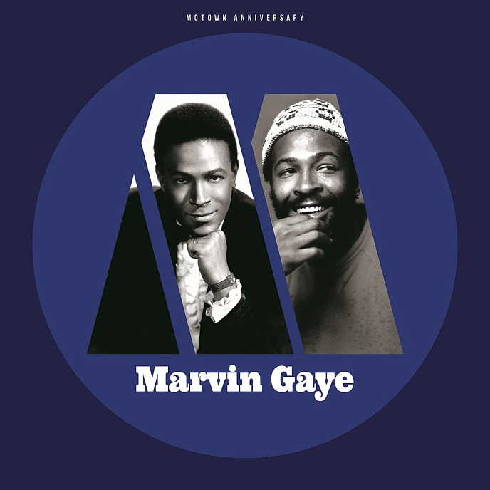 Виниловая пластинка Marvin Gaye - Motown Anniversary LP - рис.0