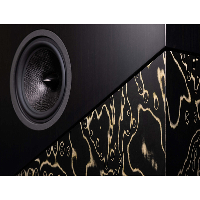 Напольная акустика Davis Acoustics THE WALL Iceball Ebony - рис.1