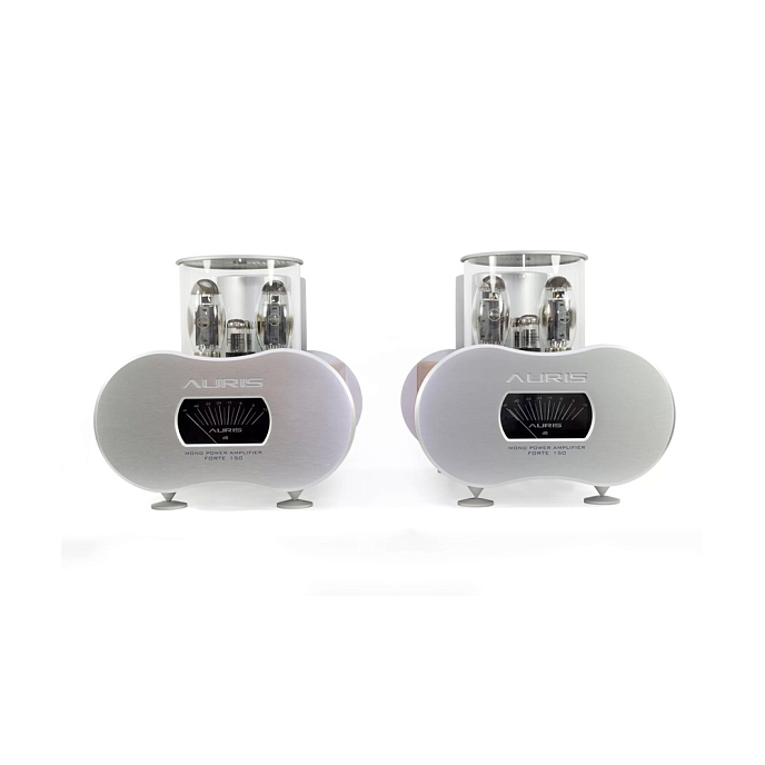 Усилитель мощности Auris Forte 150 - рис.3