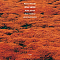 Kenny Wheeler – Gnu High LP