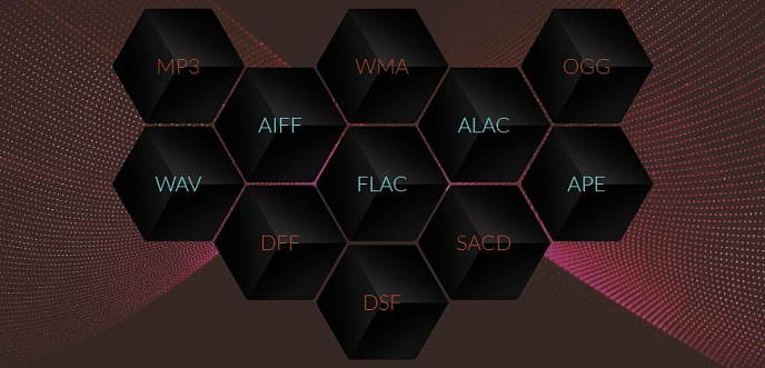 Плеер COWON Plenue D2 Silver Black - рис.16