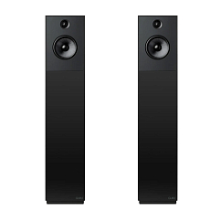 Напольная акустика Guru 28 Satin Black